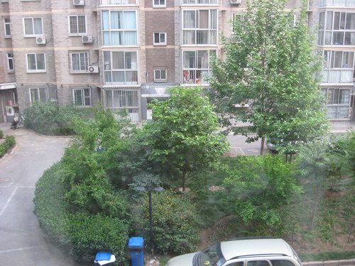 wangjing,王晶